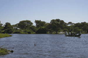 A group of people paddling in a boat on a calm river surrounded by greenery.
