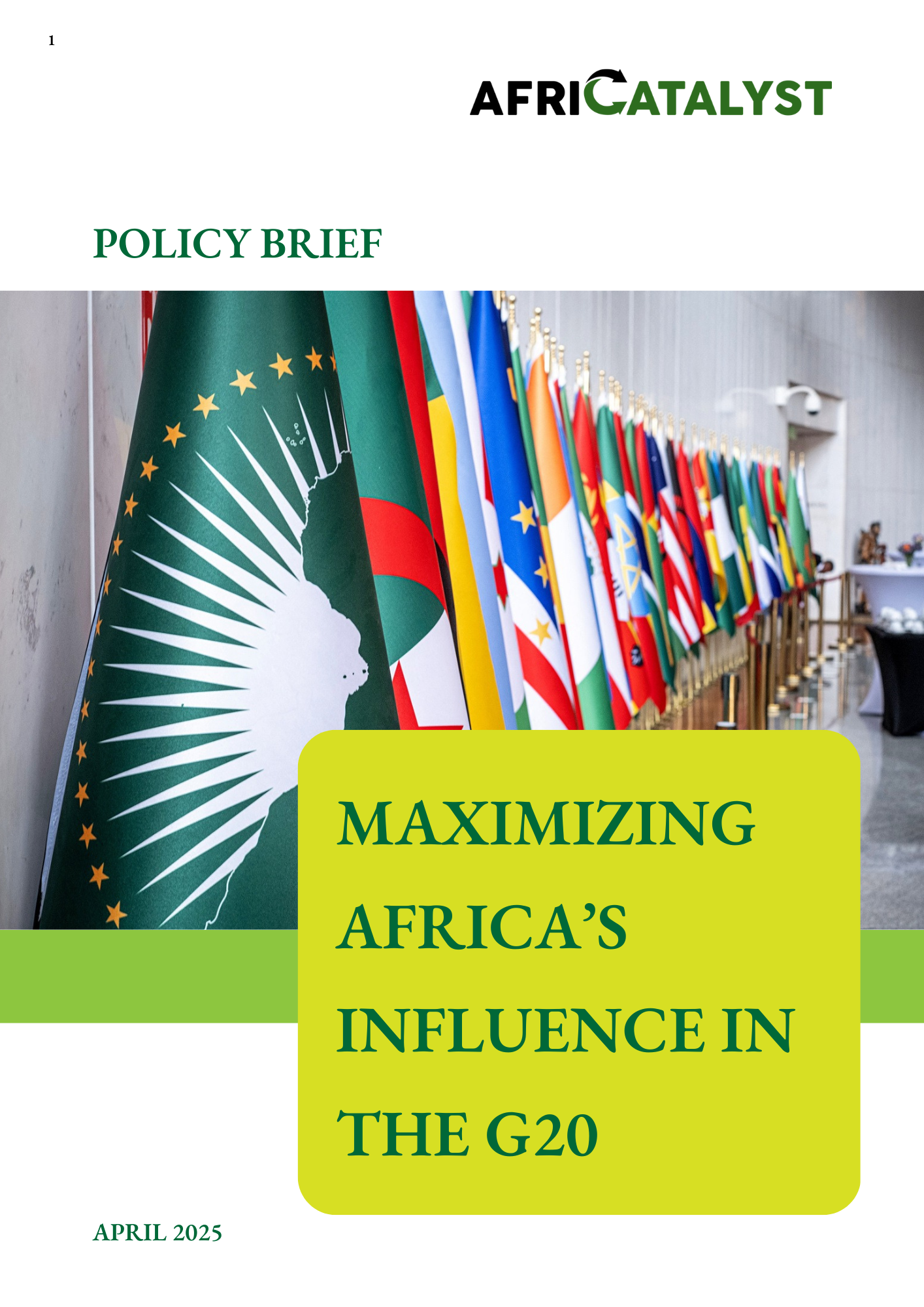 MAXIMIZING AFRICA’S INFLUENCE IN THE G20