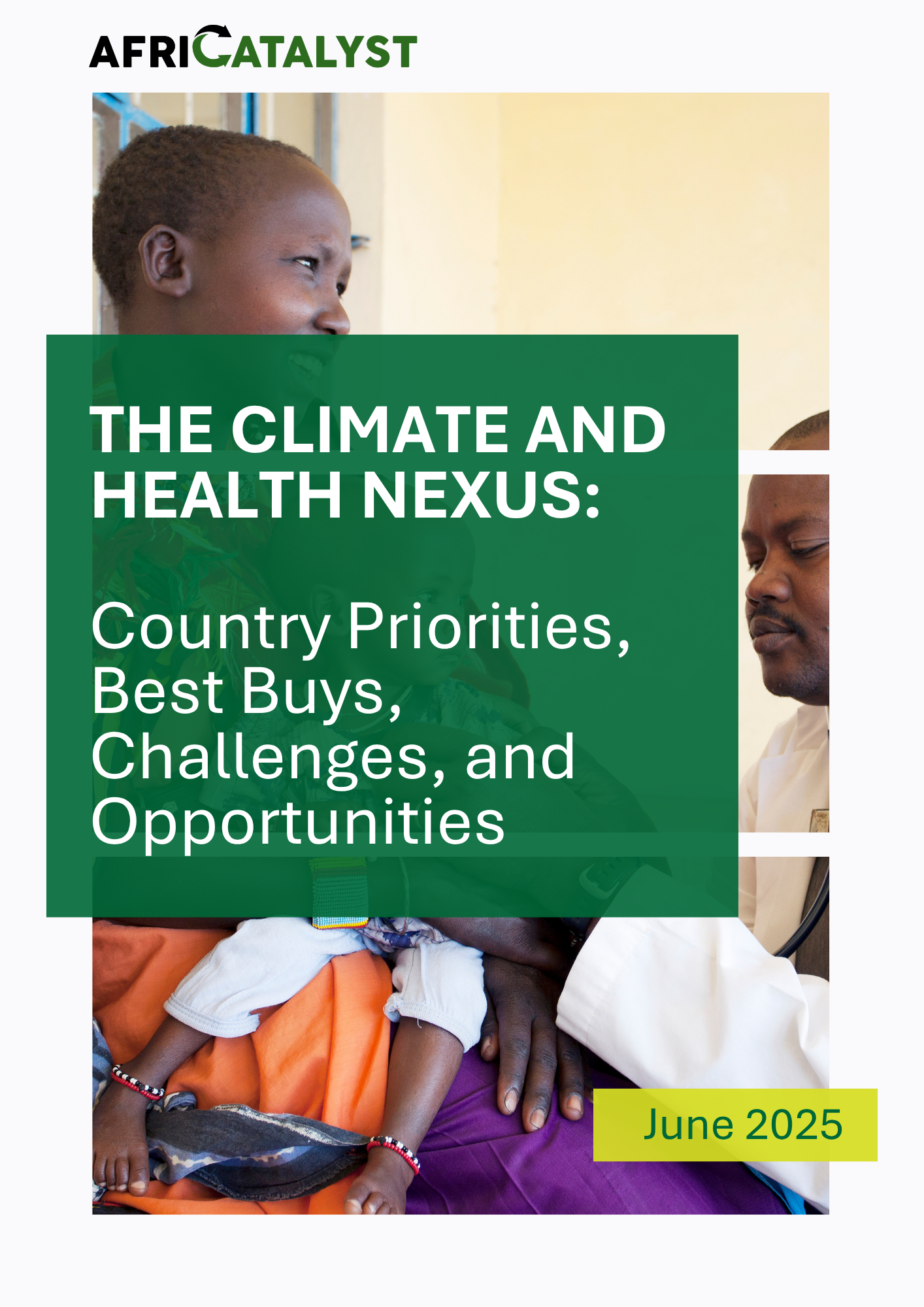 (Revision) The Climate and Health Nexus Country Priorities, Best Buys, Challenges, and Opportunities