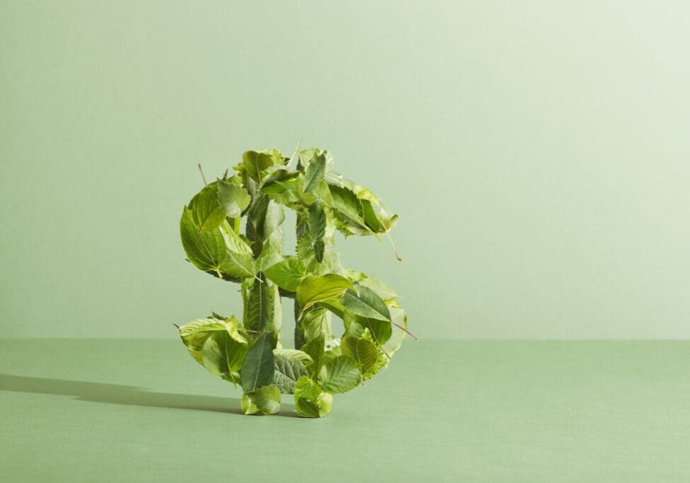 Green leaves forming dollar sign.