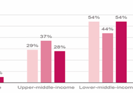Bar chart showing the percentage of daily internet users across different income levels for the years 2018, 2019, and 2020.