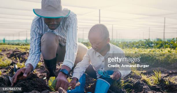 Adult and child planting in a field with tools.