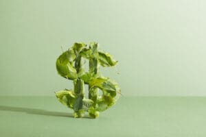 Green leaves forming dollar sign.