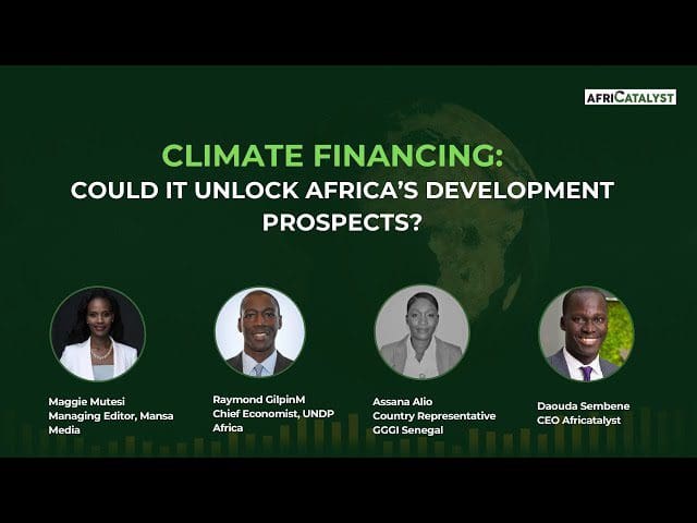 Panel discussion on climate financing's potential impact on africa's development prospects.