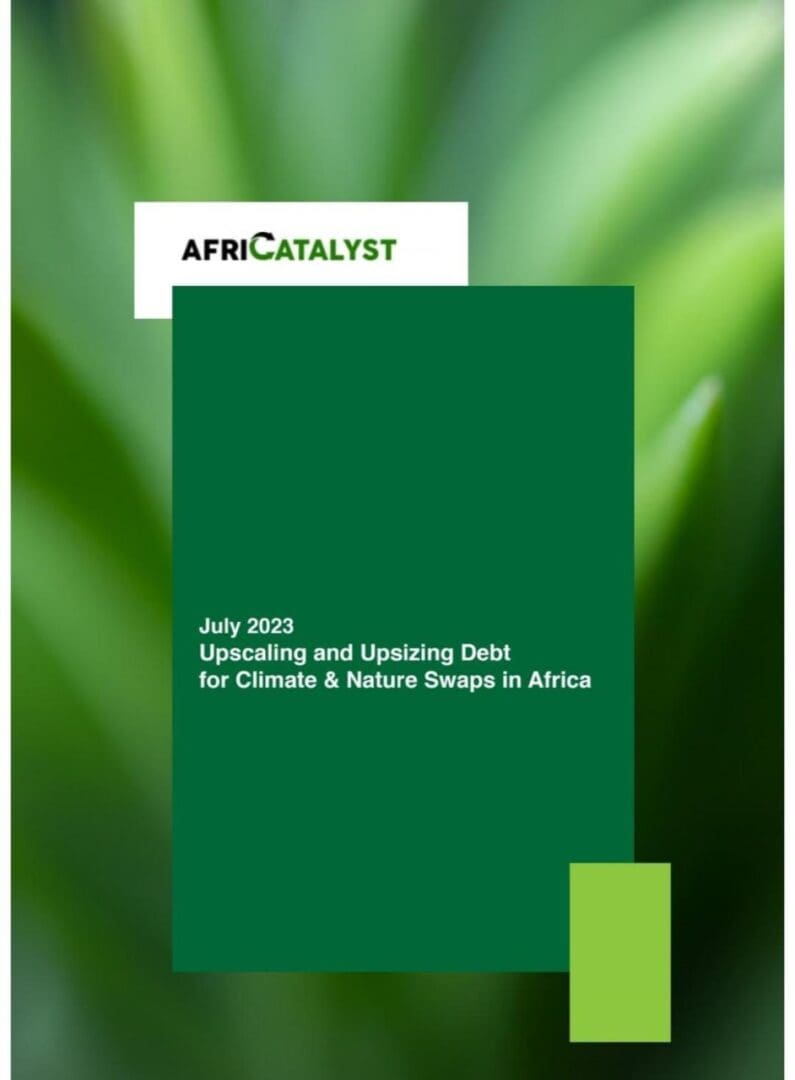 Cover of the july 2023 africatalyst issue focusing on debt solutions for climate and nature challenges in africa set against a blurred green botanical background.